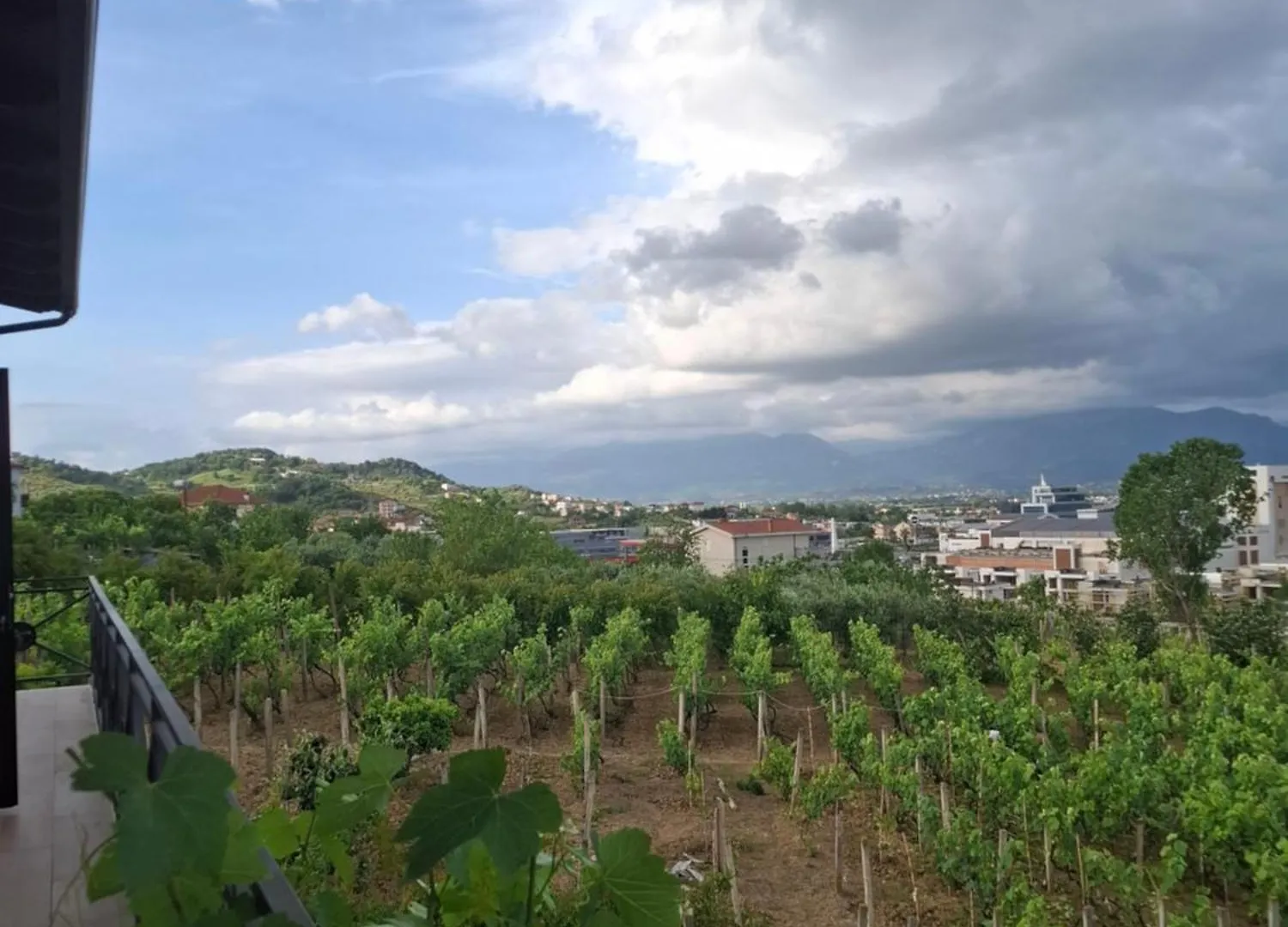 Vila Shehi Guesthouse And Winery Mucaj Guest house