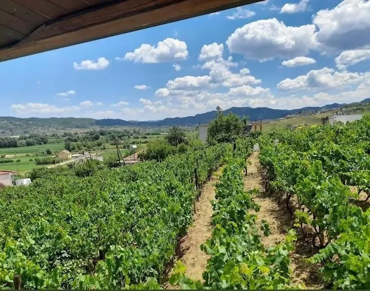 Vila Shehi Guesthouse And Winery Mucaj 0*,